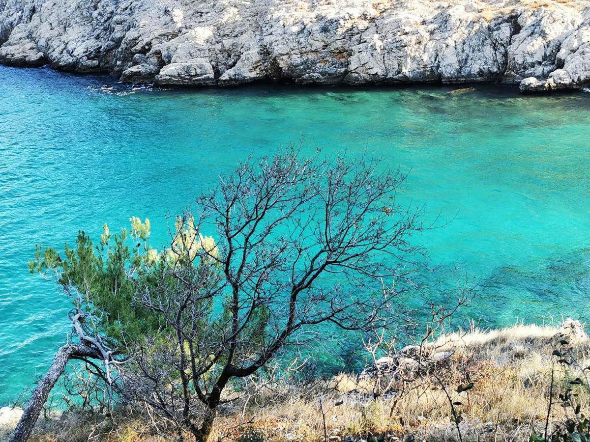Vila Verbana Apartments Vrbnik  Εξωτερικό φωτογραφία