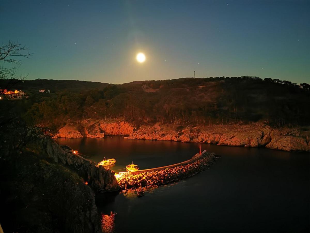 Vila Verbana Apartments Vrbnik  Εξωτερικό φωτογραφία