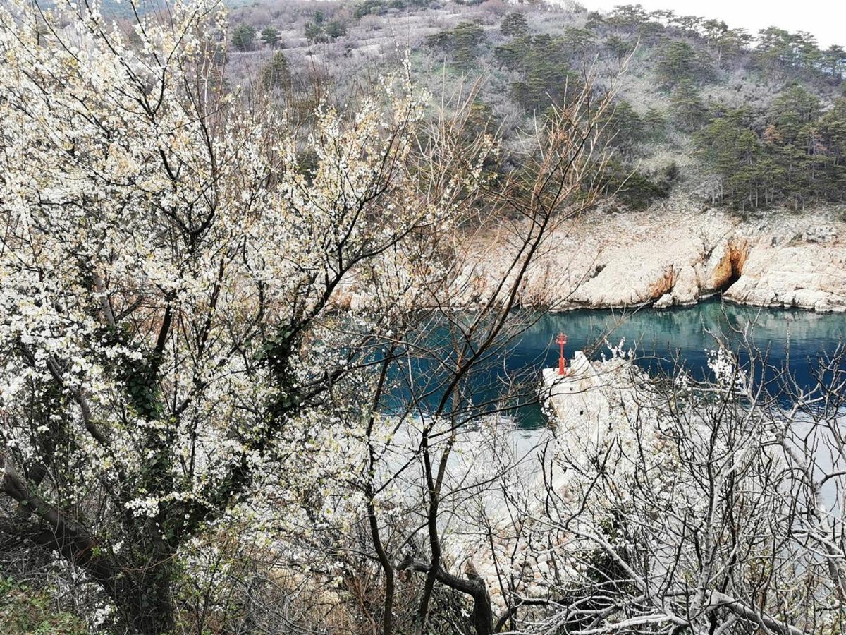 Vila Verbana Apartments Vrbnik  Εξωτερικό φωτογραφία